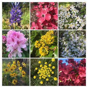 Meet your Posher, Malia